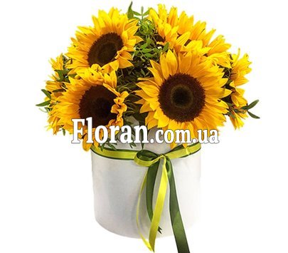 Соняшники в коробці
