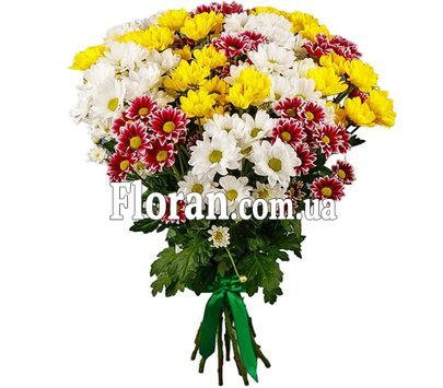 Різнокольорові хризантеми букет