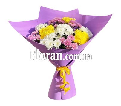 Colorful chrysanthemums