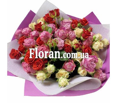 Різнокольорові кущові троянди