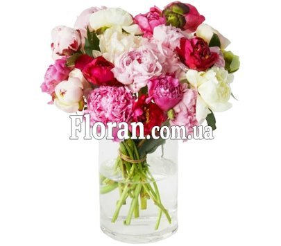 Різнокольорові півонії