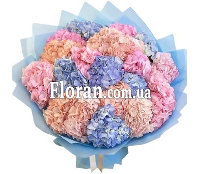 Різнокольоровий букет гортензій