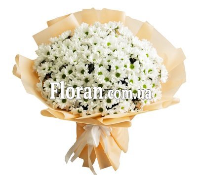 Ромашки для мами