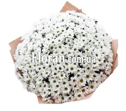 Ромашки в упаковці