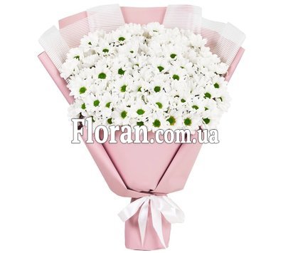 Ромашковидные цветы