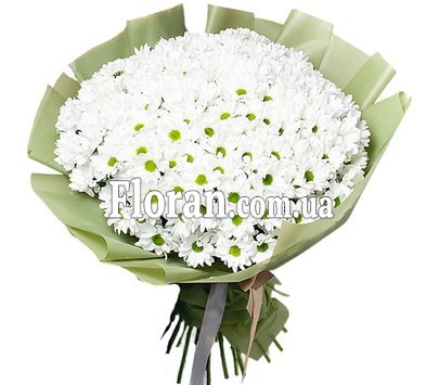 Ромашкові хризантеми