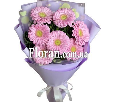 Рожеві гербери