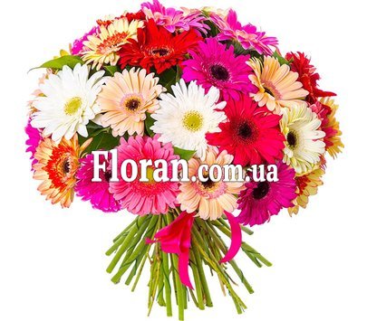 Шикарный букет гербер