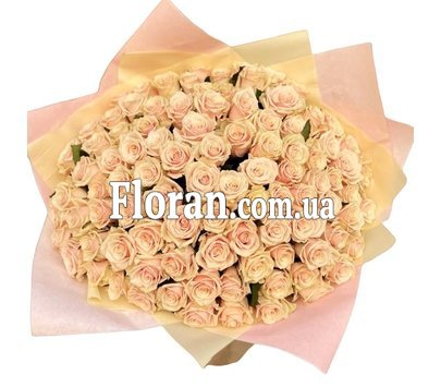 Gorgeous bouquet of 101 cream roses