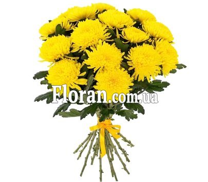 Жовті великі хризантеми