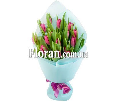 15 тюльпанов