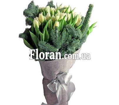 35 белых тюльпанов с елью