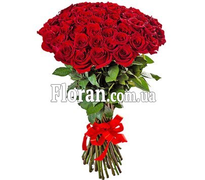 55 red roses