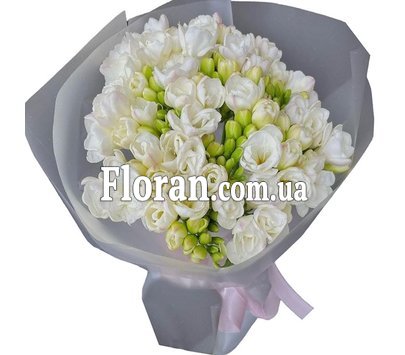 Snow-white bouquet of freesias