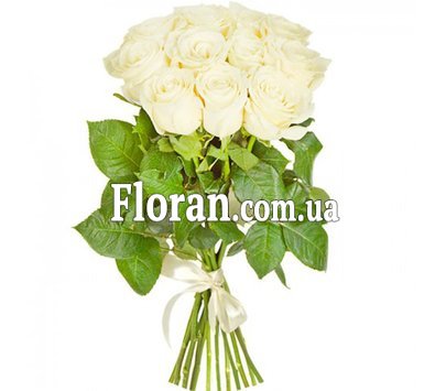 Білі голландські троянди