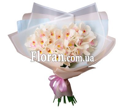 Белые орхидеи