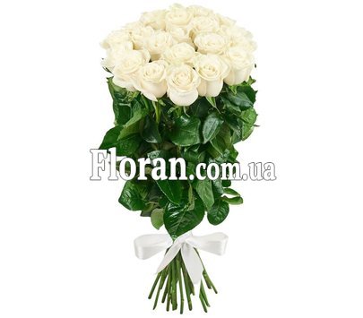 Білі троянди з Голландії