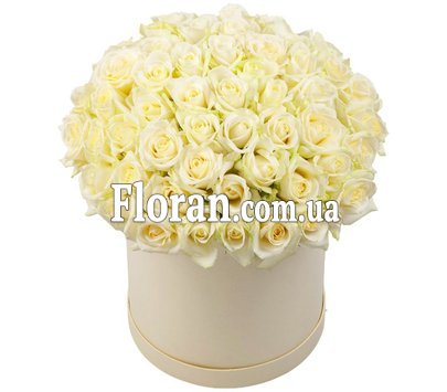Large box of white roses