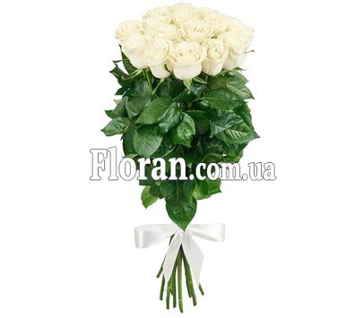 Большие розы