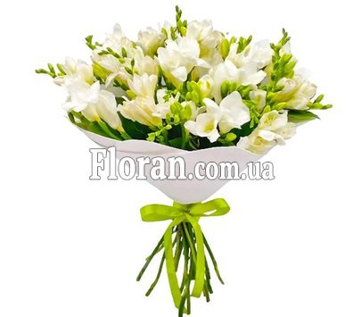 Bouquet of white freesias