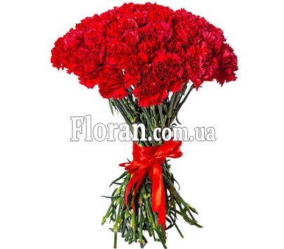 Букет діантусів