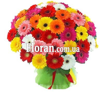 Букет гербер девушке