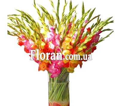Букет гладіолусів на Ювілей