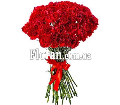 Букет гвоздик для мужчины