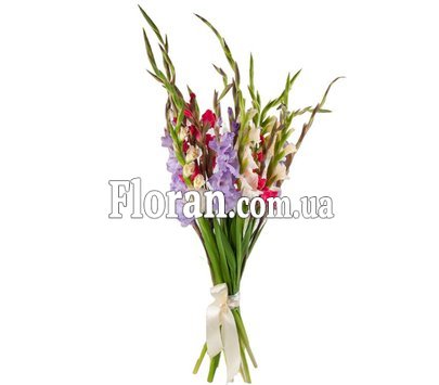 Букет из 15 гладиолусов