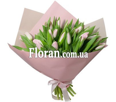 Букет із 31 тюльпану