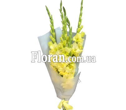 Букет з 5 гладіолусів