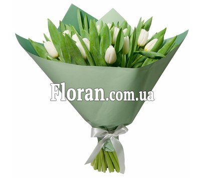 Bouquet of white tulips