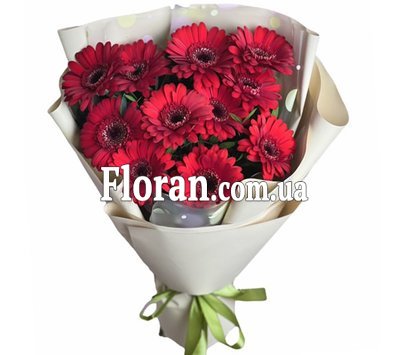 Bouquet of burgundy gerberas
