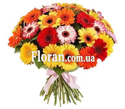 Букет из гербер для папы