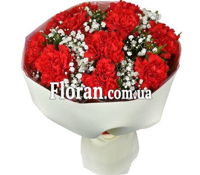 Bouquet of carnations for a girl