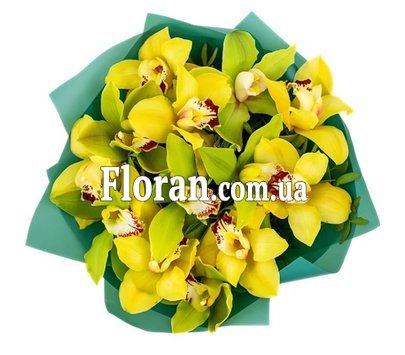 Букет з орхідей цимбідіум