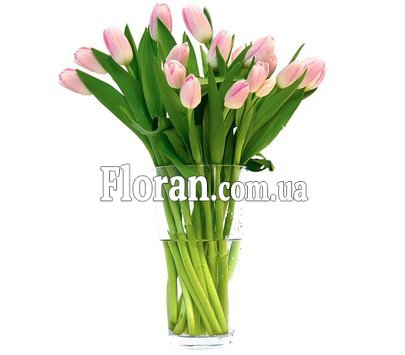 Букет из розовых тюльпанов