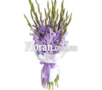 Букет из сиреневых гладиолусов