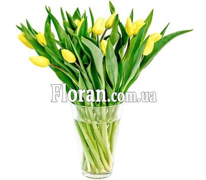 Букет з жовтих тюльпанів