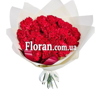 Букет червоних гвоздик