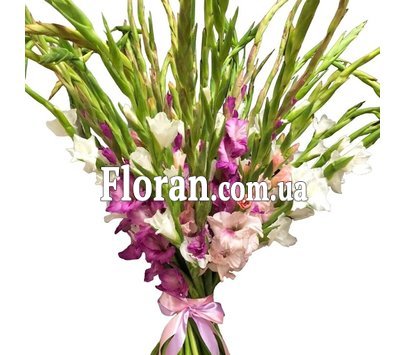 Букет різнокольорових гладіолусів