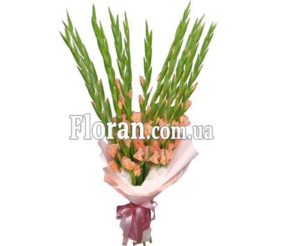 Букет з кораловими гладіолусами