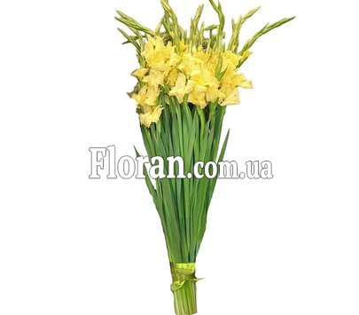 Букет із жовтими гладіолусами