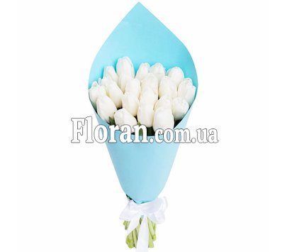 Квіти тюльпани білі