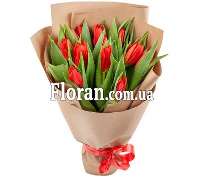 Цветы тюльпаны красные