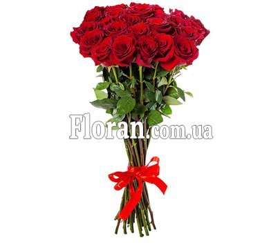 Long red roses