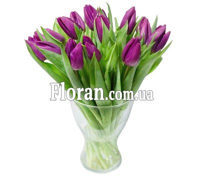 Purple tulips bouquet