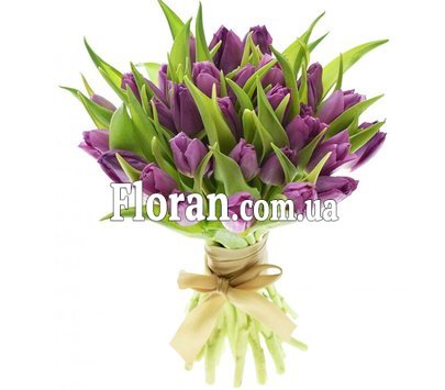 Фіолетові тюльпани у букеті