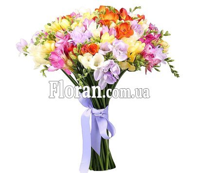 Фрезії для коханої