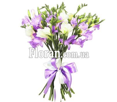 Freesia with ribbon